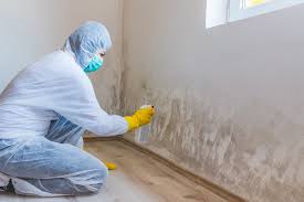 Best Residential Mold Inspection & Testing  in Saddle River, NJ